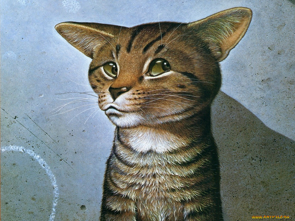 , 